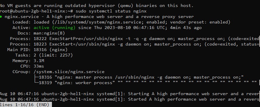 nginx status