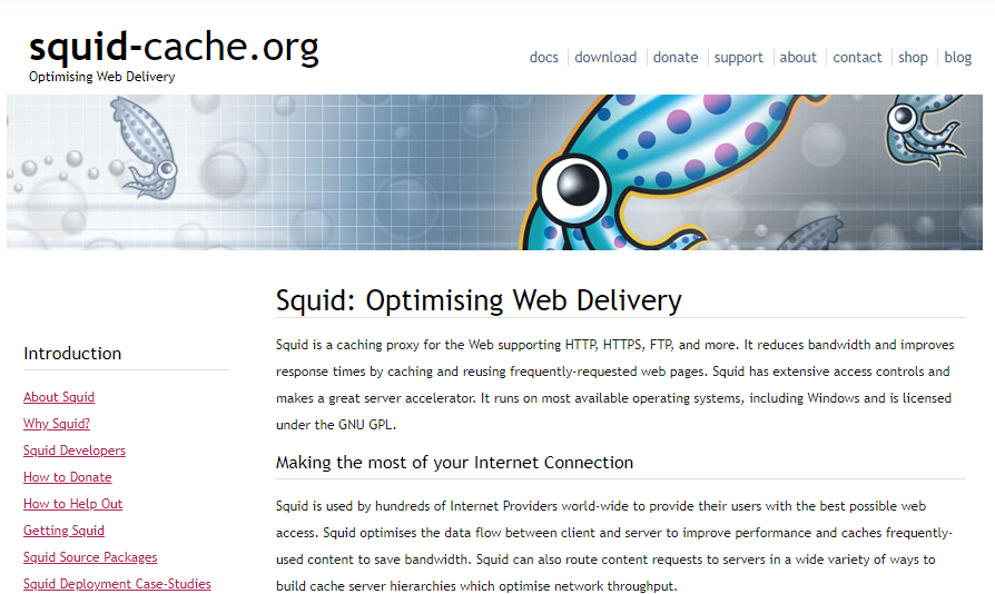 squid-cache